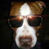 kurtis_anderson